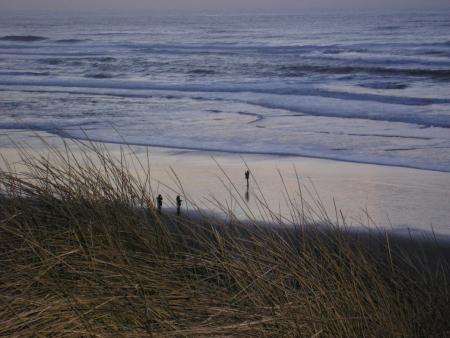 Poetic view of the Florence beach