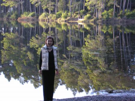 Trees reflected on the lake