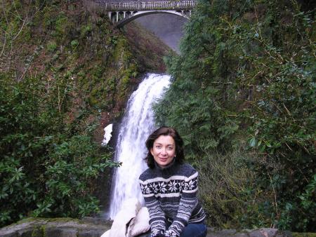 The beautiful Falls and the bridge