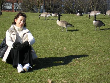 The geese