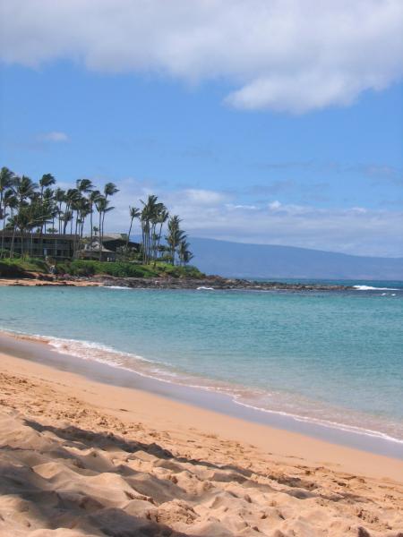 Our beach : Kapalua Beach