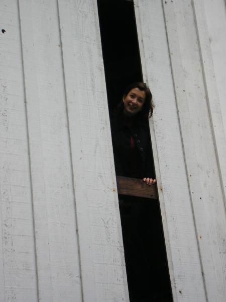 Visit of the Covered Bridge