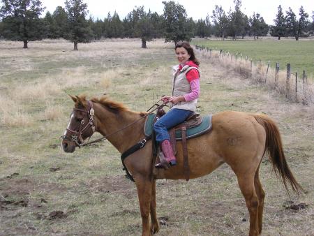 The horse named Bonny