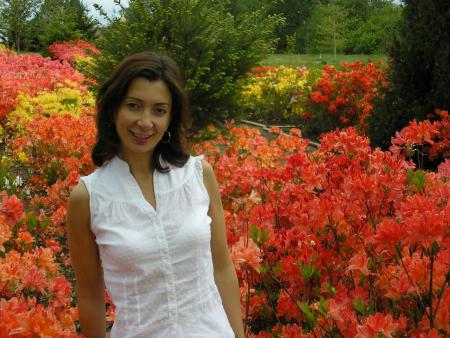 Among the azalea flowers