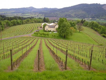 David Hill Winery