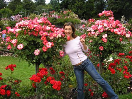 The trees of roses