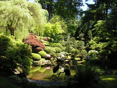 Japanese Garden and birds