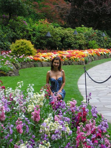 Multi-colored flowers at the Butchart garden