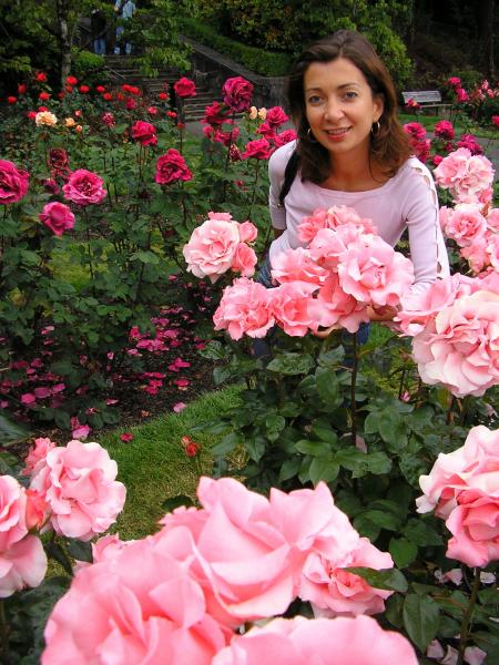 The pink roses... very romantic