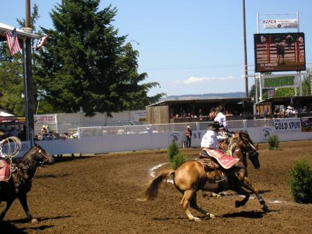 The best cow-boy 2007