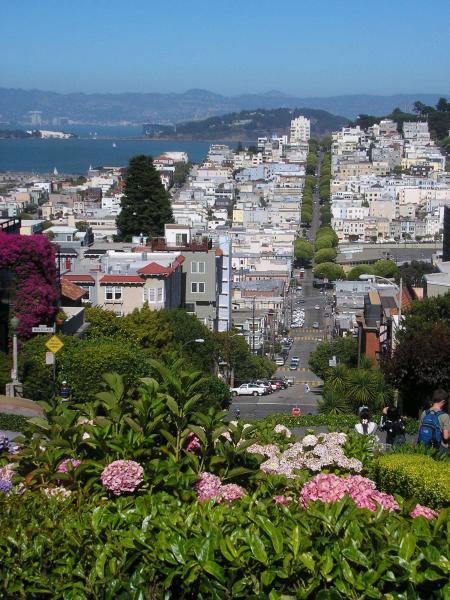 View from Lombard street