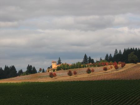 Visit of the Willamettte Valley in fall