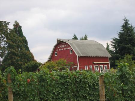 Red Winery