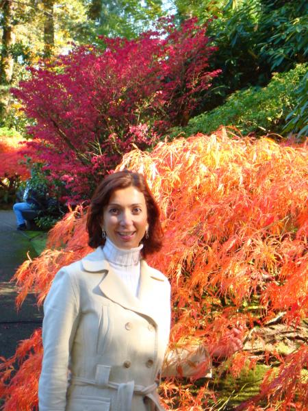 The Japanese Garden in Autumn